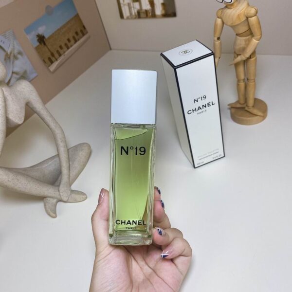 Chanel No. 19 Eau de Toilette Spray – Women’s Perfume, 100ml / 3.4 oz