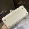 Brillant leather handbag Delvaux White in Leather - 53917390