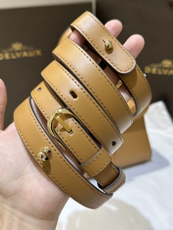 Delvaux Mini Box Rodeo Calf 7327120504