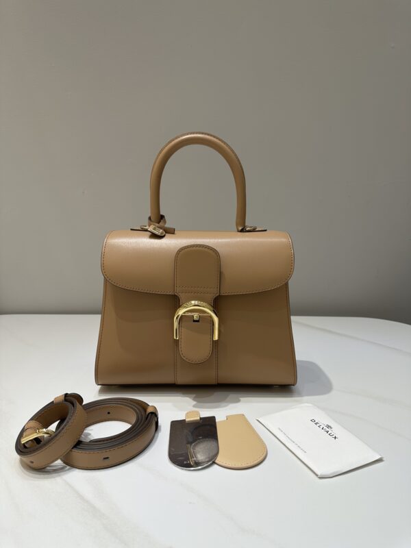 Brillant leather handbag Delvaux Brown in Leather