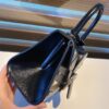 Delvaux Mini Brillant Fireworks Bag - Black Handle Bags,