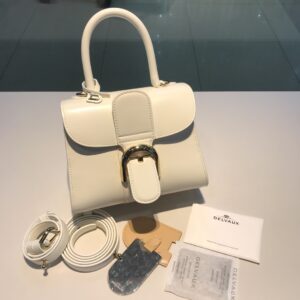DELVAUX Box Calfskin Mini Brillant Satchel Ivory 1172448