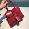 Brillant leather handbag Delvaux Red in Leather -