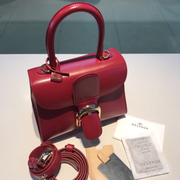 Brillant leather handbag Delvaux Red in Leather -