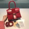 Brillant leather handbag Delvaux Red in Leather -