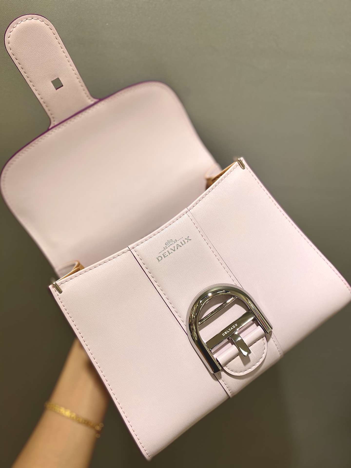 Brillant leather handbag Delvaux Multicolour in pink Leather -