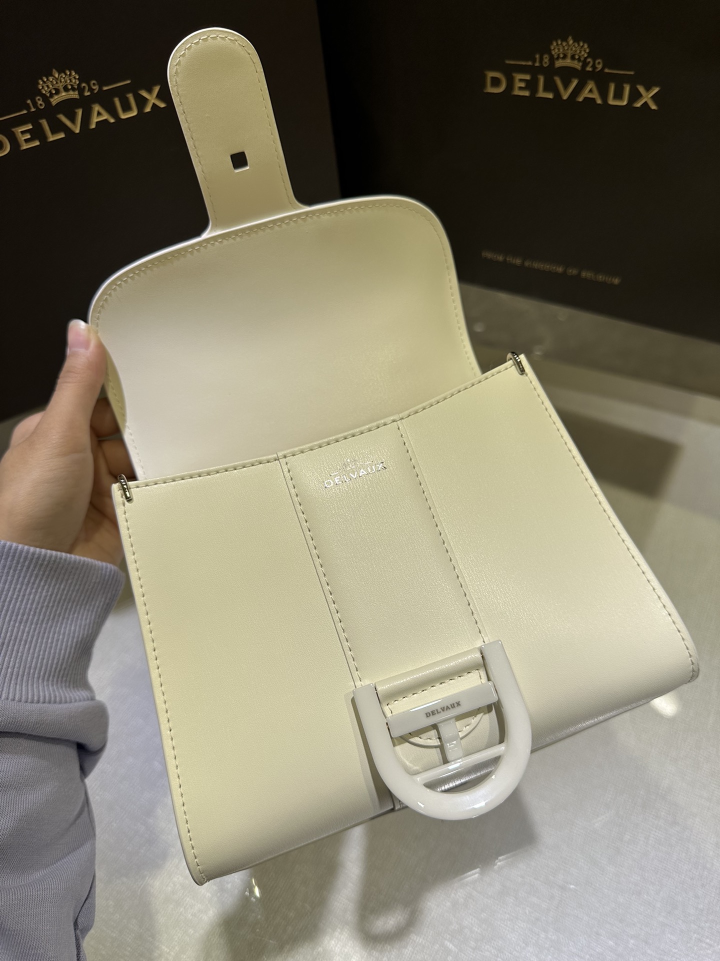 DELVAUX Box Calfskin Mini Brillant Satchel Ivory white1150223