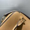 Cool box leather handbag Delvaux brown  Camel in Leather
