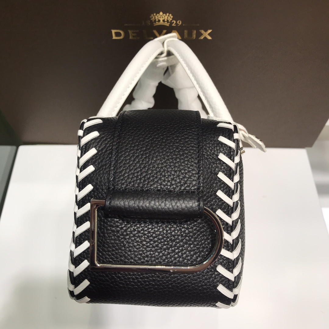 Cool box leather handbag Delvaux Multicolour in Leather bag black