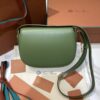 Loro Piana Small Ghiera bag Smooth Calfskin Koi Fish/green