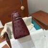 Extra pocket leather crossbody bag Loro Piana dark red in Leath