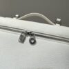 Delvaux Extra Pocket backpack L23.5 - Grained Calfskin white