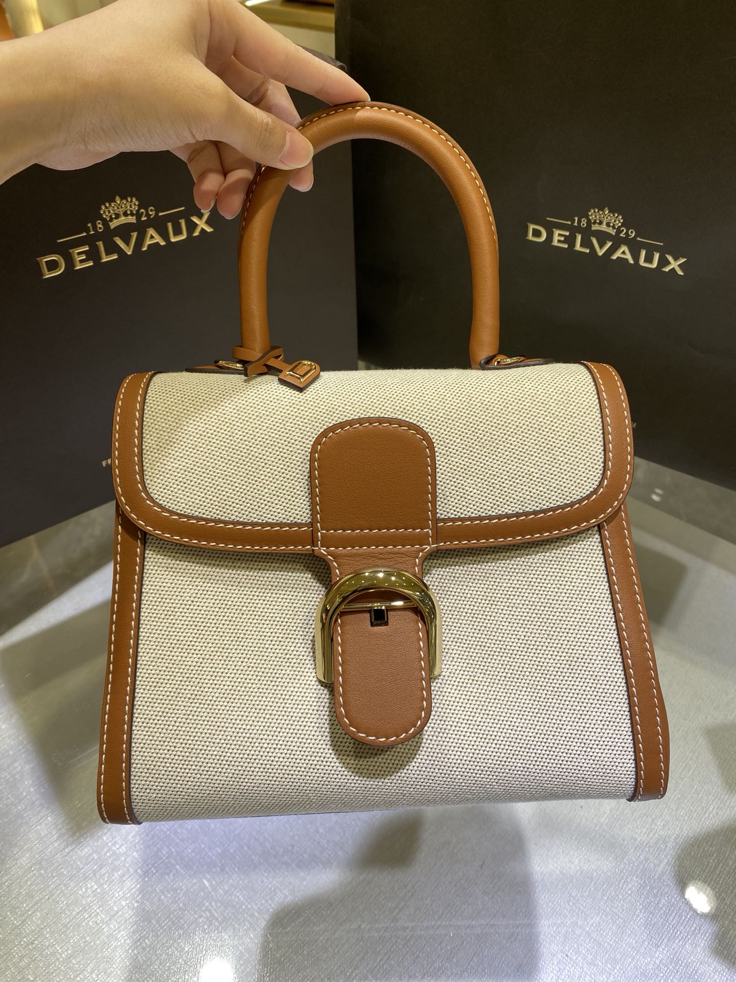 Delvaux Natural/Tan Calf Trim Canvas Brillant PM Bag ○