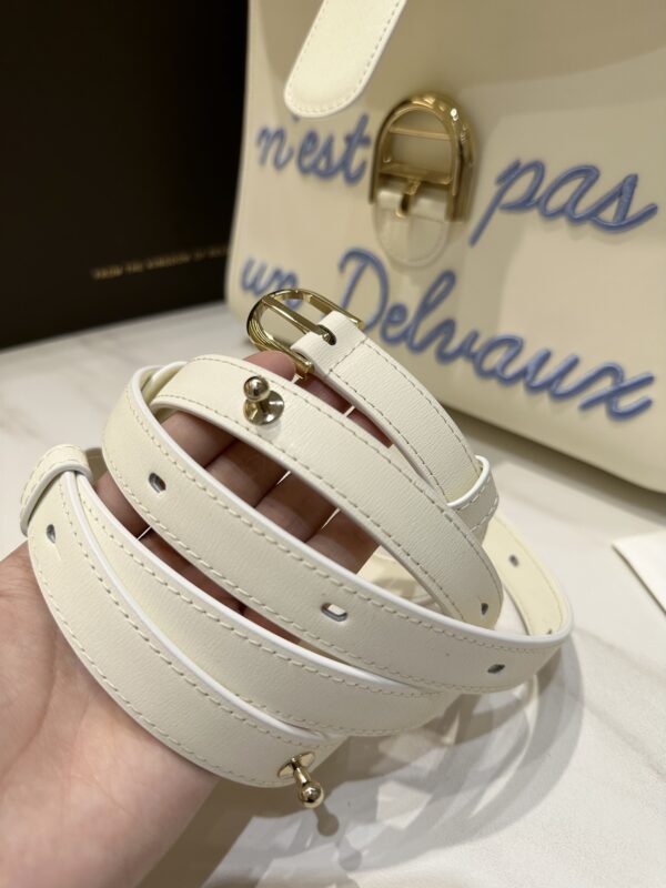 Delvaux Brillant MM Leather Handbag White Pony-style calfskin r