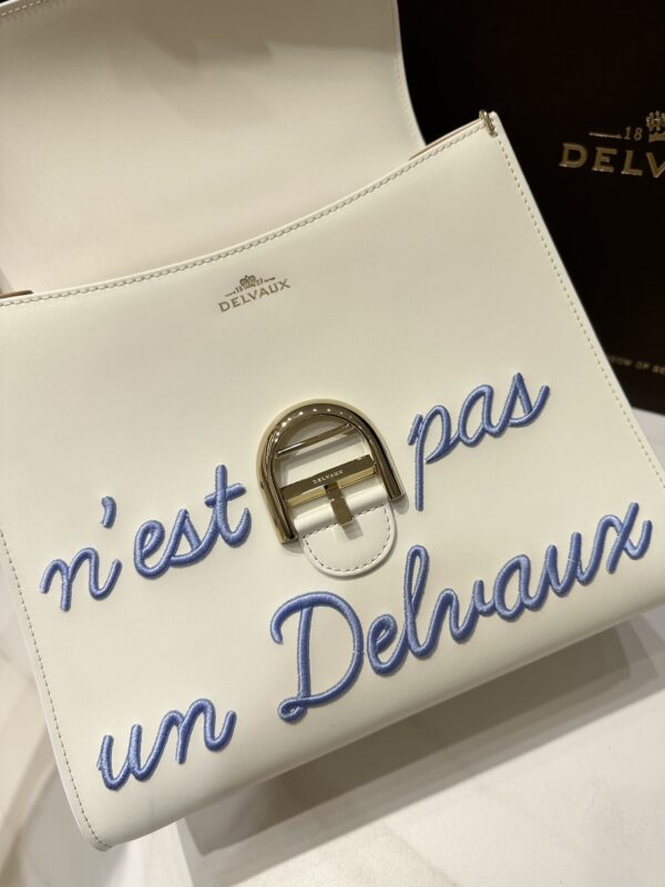 Delvaux Brillant MM Leather Handbag White Pony-style calfskin r
