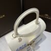 Delvaux Brillant MM Leather Handbag White Pony-style calfskin r