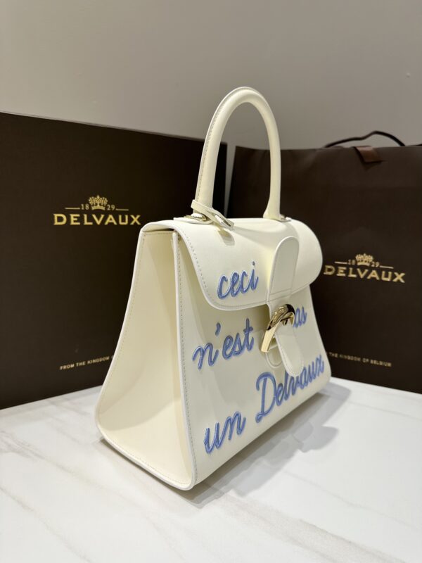 Delvaux Brillant MM Leather Handbag White Pony-style calfskin r