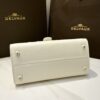 Delvaux Brillant MM Leather Handbag White Pony-style calfskin r
