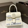 Delvaux Brillant MM Leather Handbag White Pony-style calfskin r