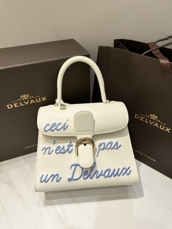 Delvaux Brillant MM Leather Handbag White Pony-style calfskin r