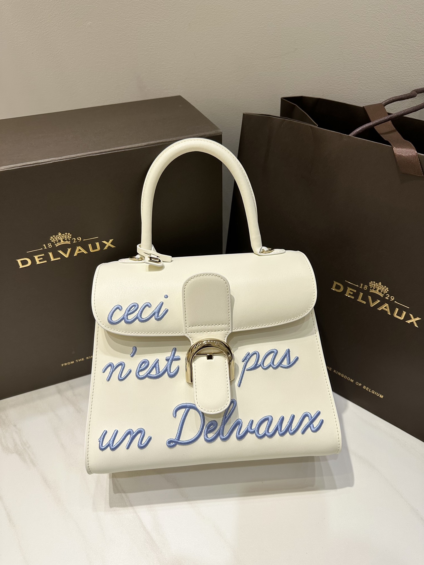 Delvaux Brillant MM Leather Handbag White Pony-style calfskin r
