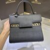 Delvaux Tempête PM Handbag British BLACK Leather Pony-style calfskin