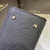 Delvaux Tempête PM Handbag British BLACK Leather Pony-style calfskin
