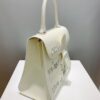 Brillant leather handbag Delvaux White in Leather -