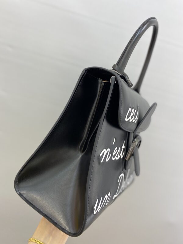 Brillant leather handbag Delvaux Black in Leather -