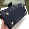 Brillant leather handbag Delvaux BLUE NAVY in Leather -