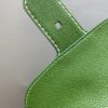 DELVAUX Grained Rodeo Calfskin Surpique Mini Brillant BAG GREEN