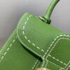 DELVAUX Grained Rodeo Calfskin Surpique Mini Brillant BAG GREEN