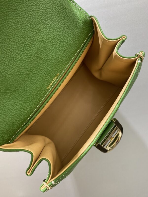 DELVAUX Grained Rodeo Calfskin Surpique Mini Brillant BAG GREEN