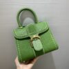 DELVAUX Grained Rodeo Calfskin Surpique Mini Brillant BAG GREEN