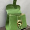 DELVAUX Grained Rodeo Calfskin Surpique Mini Brillant BAG GREEN