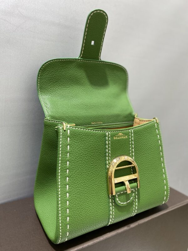 DELVAUX Grained Rodeo Calfskin Surpique Mini Brillant BAG GREEN
