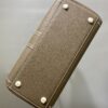 DELVAUX Grained Rodeo Calfskin Surpique Mini Brillant