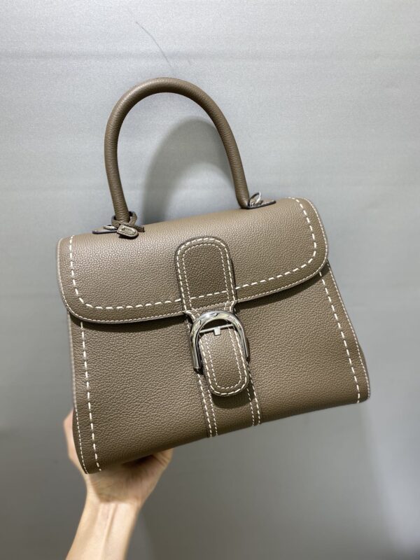 DELVAUX Grained Rodeo Calfskin Surpique Mini Brillant