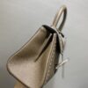Delvaux Mini Brillant Surpiqué Tote Bag | Neutrals