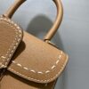 DELVAUX Grained Rodeo Calfskin Surpique Mini Brillant