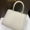 Brillant leather handbag Delvaux White in Leather -