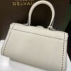 Brillant leather handbag Delvaux White in Leather
