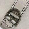 Brillant leather handbag Delvaux White in Leather
