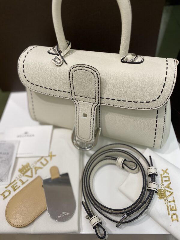 Brillant leather handbag Delvaux White in Leather