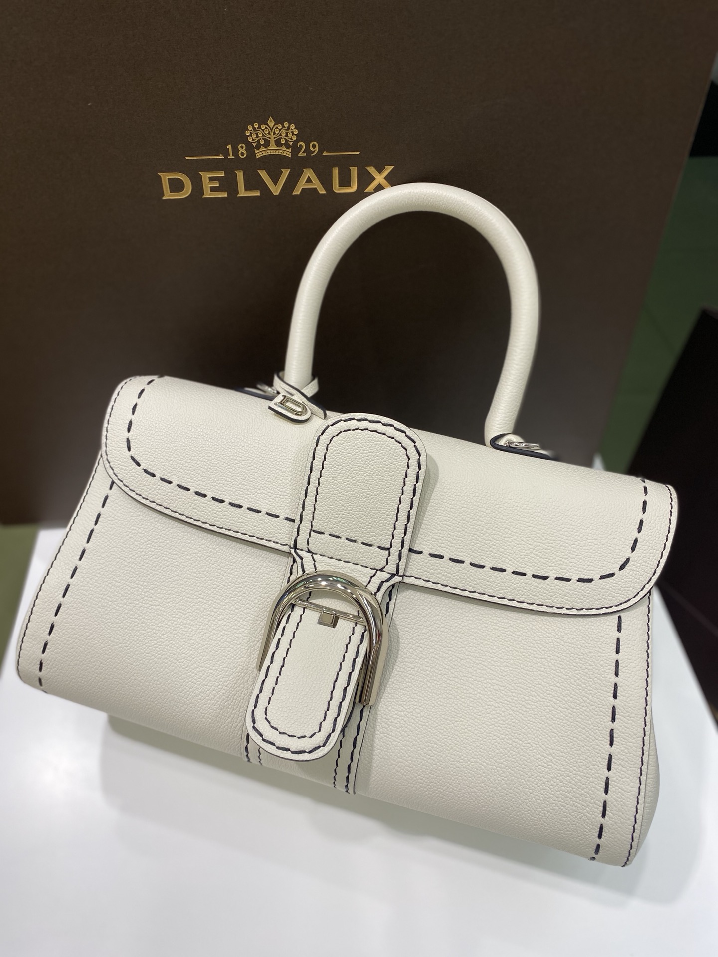 Brillant leather handbag Delvaux White in Leather