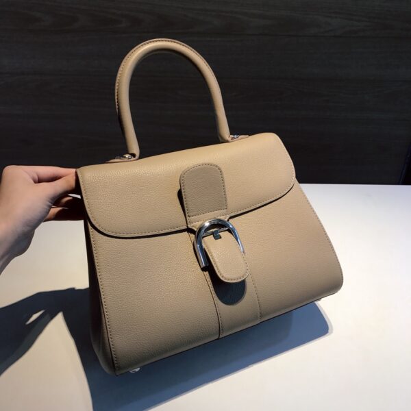 Brillant leather handbag Delvaux brown in Leather - 52568135