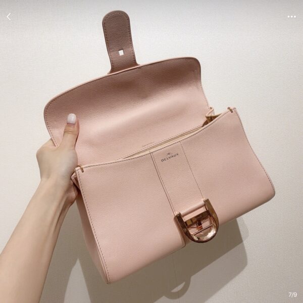 Brillant leather crossbody bag Delvaux Pink in Leather