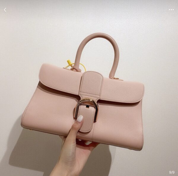 Brillant leather crossbody bag Delvaux Pink in Leather