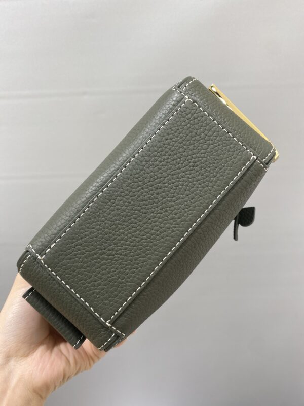 Cool box leather crossbody bag Delvaux Green in Leather