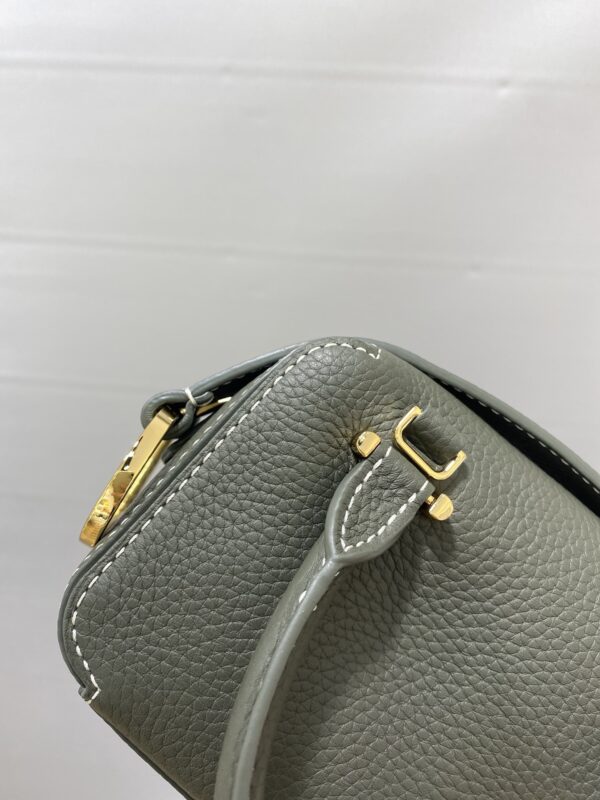 Cool box leather crossbody bag Delvaux Green in Leather